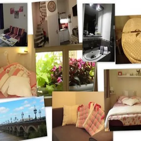 T1bis Duplex Hyper Centre Historique De Bx דירה *