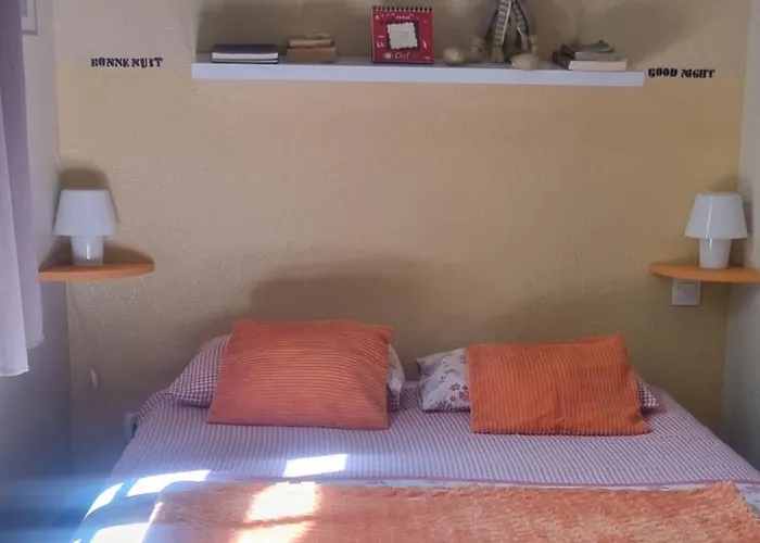 T1bis Duplex Hyper Centre Historique De Bx Appartement