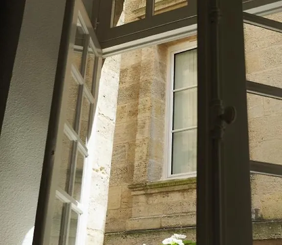 T1bis Duplex Hyper Centre Historique De Bx Appartement *