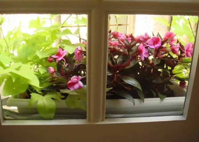 T1bis Duplex Hyper Centre Historique De Bx Lejlighed Bordeaux