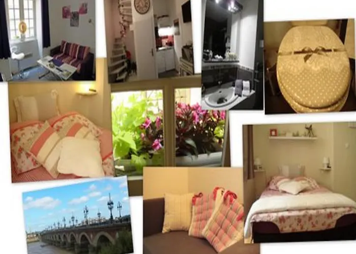 T1bis Duplex Hyper Centre Historique De Bx Appartement *