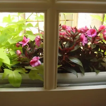 T1bis Duplex Hyper Centre Historique De Bx Lejlighed Bordeaux