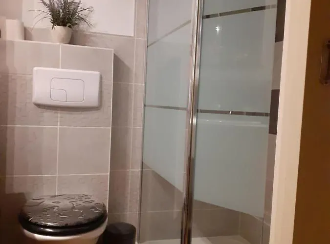 T1bis Duplex Hyper Centre Historique De Bx Appartement *