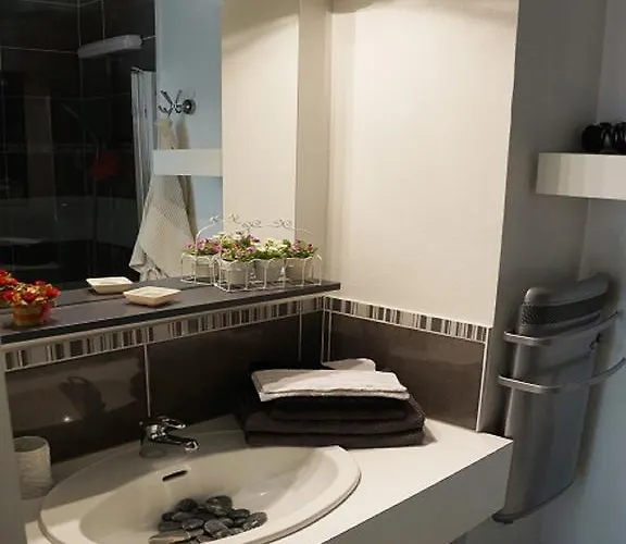 T1bis Duplex Hyper Centre Historique De Bx Appartement