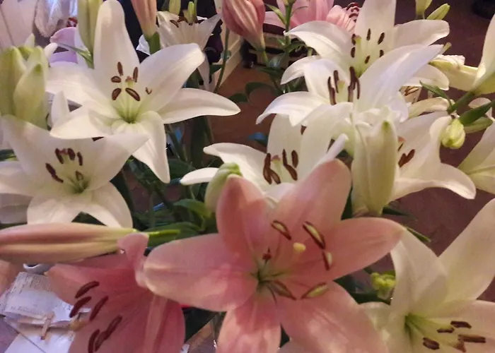 Appartement T1bis Duplex Hyper Centre Historique De Bx *