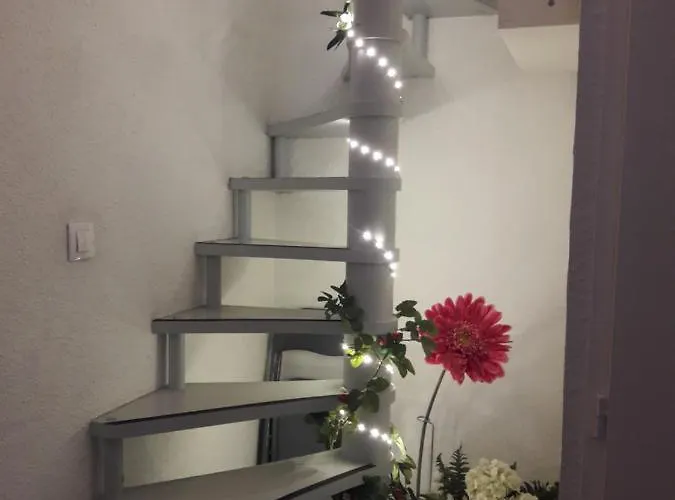 Appartement T1bis Duplex Hyper Centre Historique De Bx